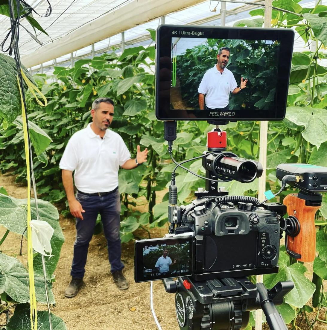 Videos para empresas en Sevilla